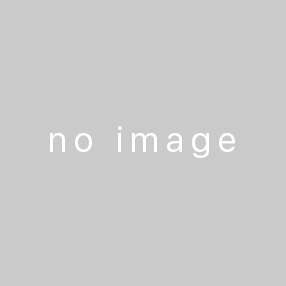 ガーナ濃密チョコレートアイス アイス お口の恋人 ロッテ